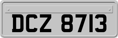 DCZ8713