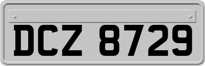DCZ8729