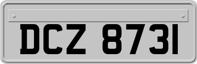 DCZ8731