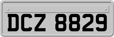 DCZ8829