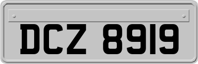 DCZ8919