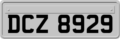 DCZ8929