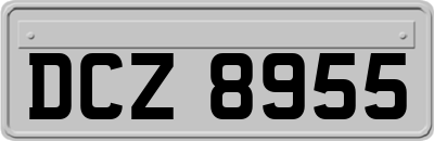 DCZ8955