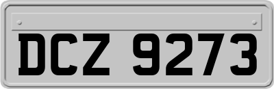 DCZ9273
