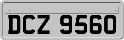DCZ9560