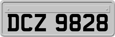 DCZ9828