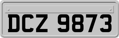 DCZ9873