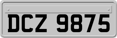 DCZ9875