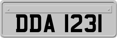 DDA1231