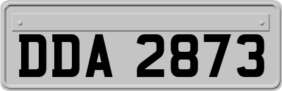 DDA2873