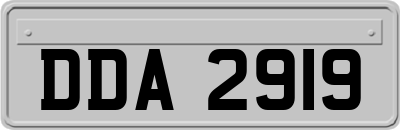 DDA2919