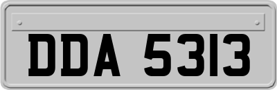 DDA5313