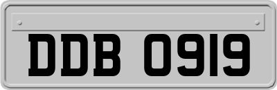 DDB0919