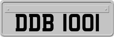 DDB1001