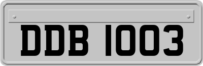 DDB1003