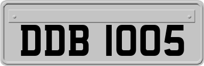 DDB1005