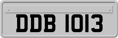 DDB1013