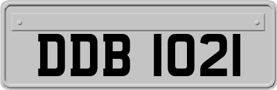 DDB1021
