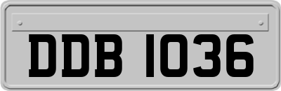 DDB1036