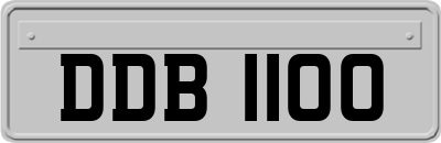 DDB1100