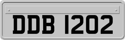 DDB1202
