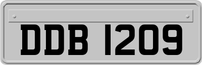 DDB1209
