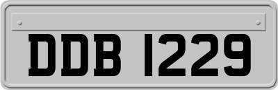 DDB1229
