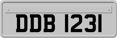 DDB1231