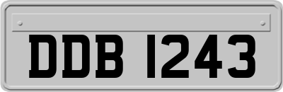 DDB1243