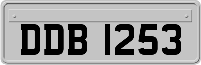 DDB1253