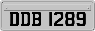 DDB1289