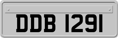DDB1291