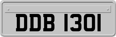 DDB1301