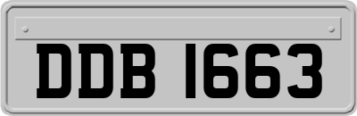 DDB1663
