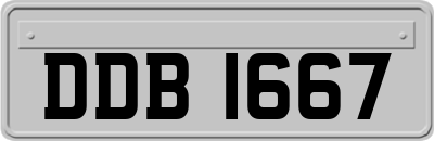 DDB1667