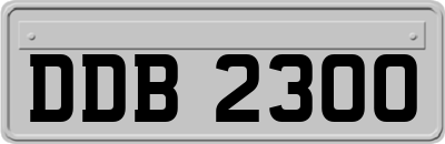 DDB2300