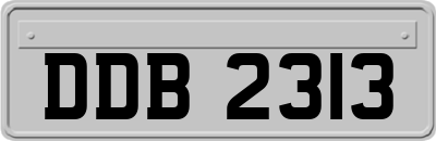DDB2313