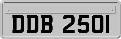 DDB2501