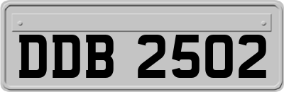 DDB2502