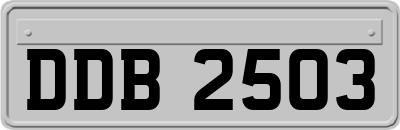 DDB2503