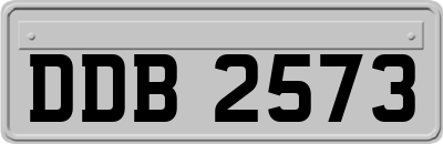 DDB2573