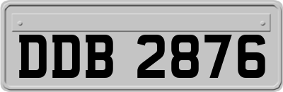 DDB2876