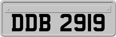 DDB2919