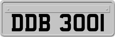 DDB3001