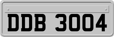 DDB3004