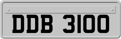 DDB3100