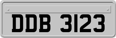 DDB3123