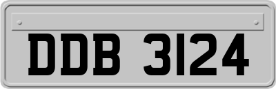 DDB3124