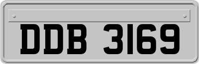 DDB3169