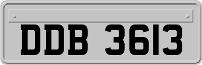 DDB3613